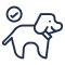 category image